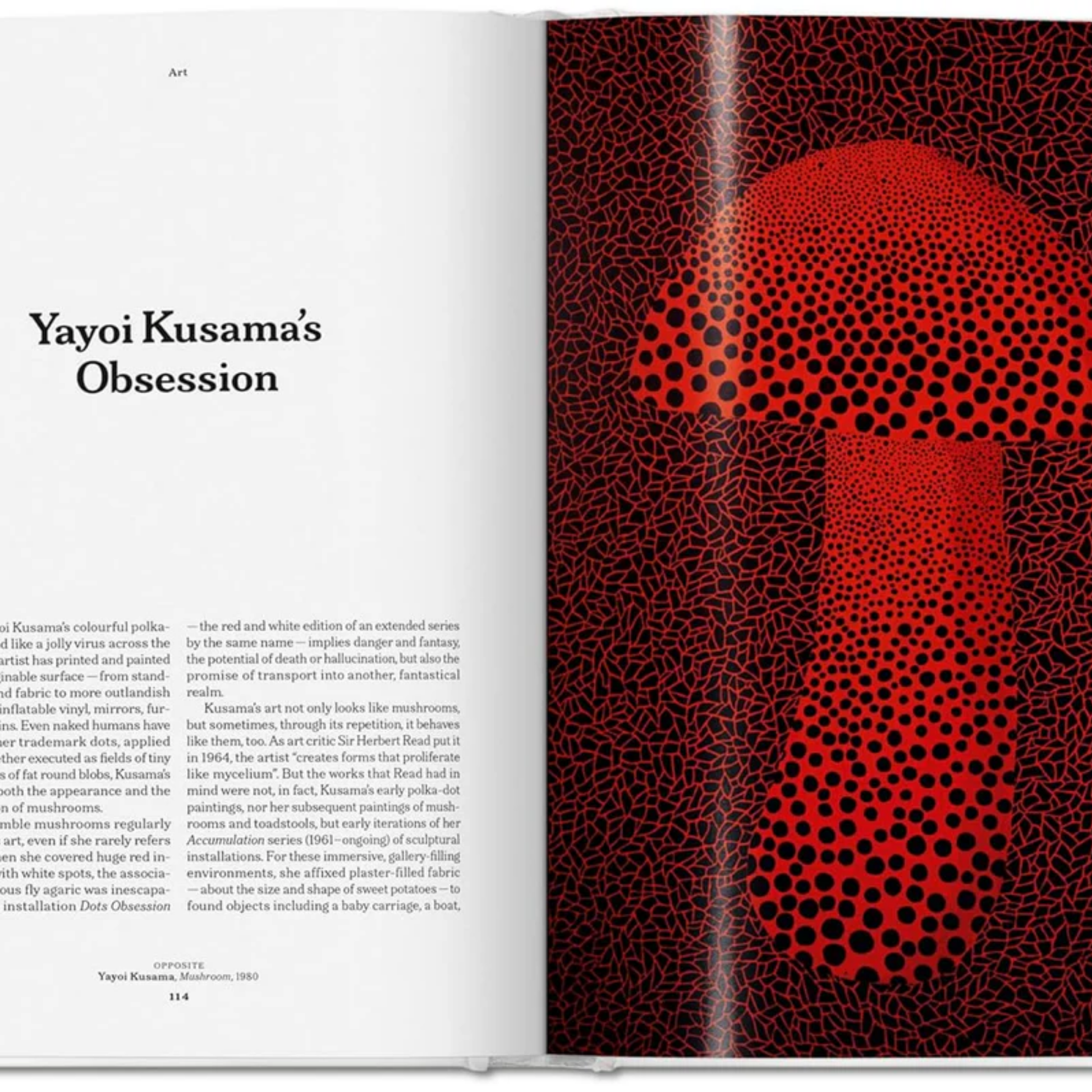 The Gourmand’s Mushroom Buch  | Kochbuch