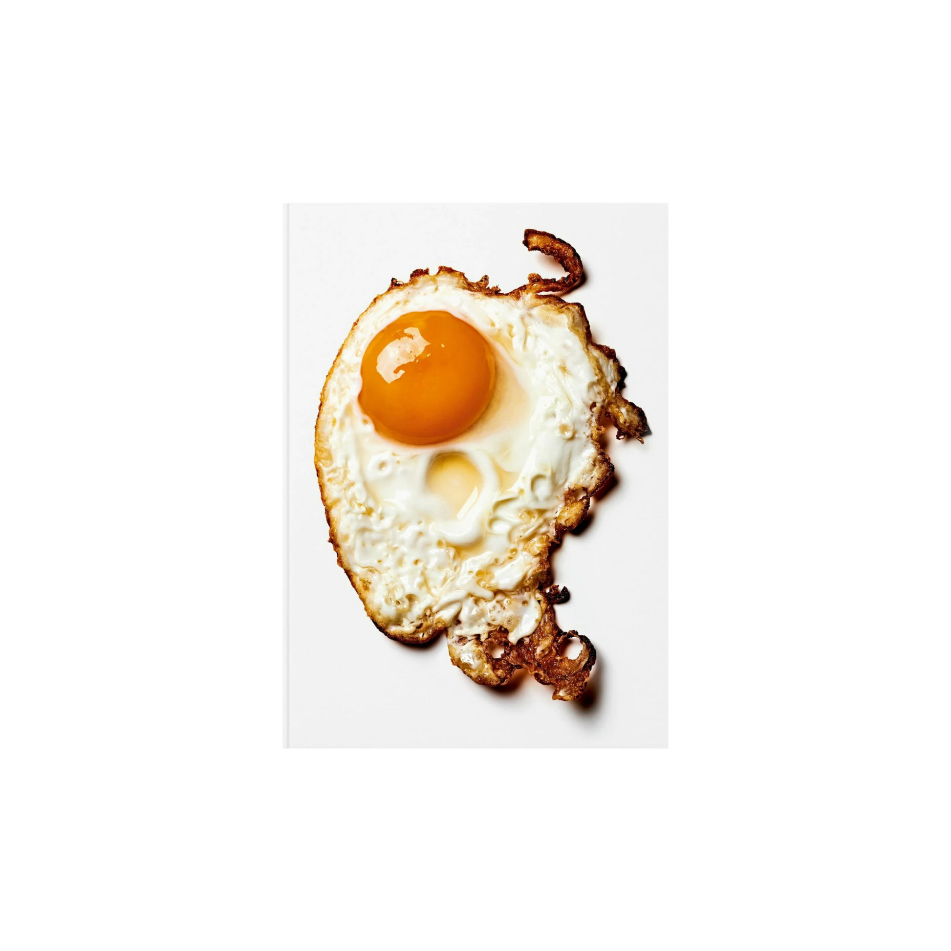 The Gourmand’s Egg Buch  | Kochbuch